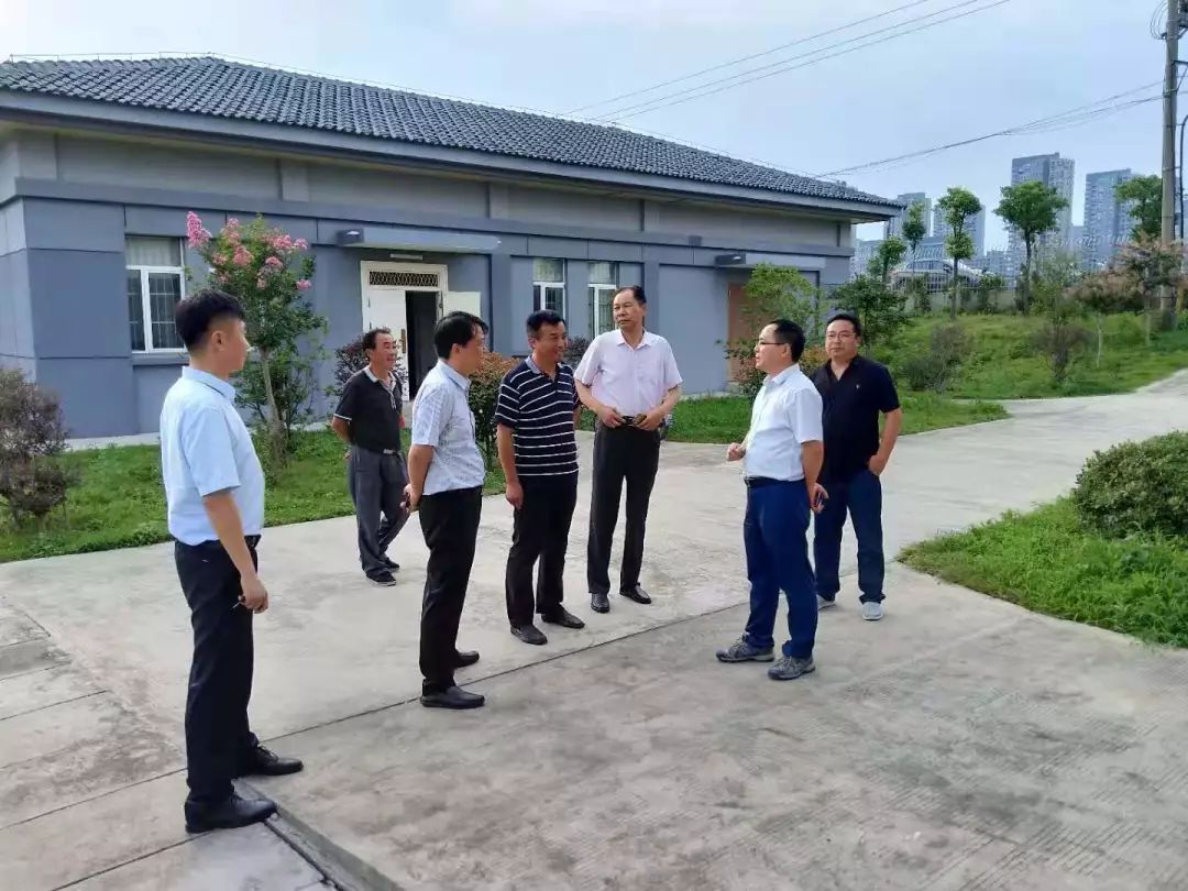 雨花台区全力以赴应对2019长江第1号洪水