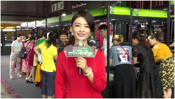 马滢楠芳潇阿伟刘锦江为什么可以做到如此低的折扣?