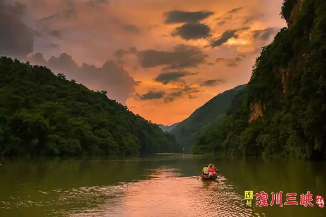 7月20號連州水晶梨清甜上線連州地下河船遊湟川三峽連州水晶梨採摘二