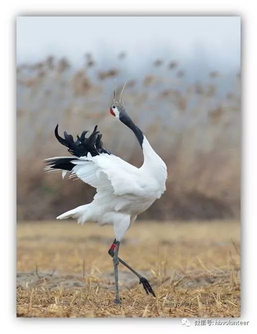 吹笛的仙人献给创造音乐的先民