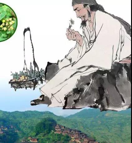 苗药起源你知道多少