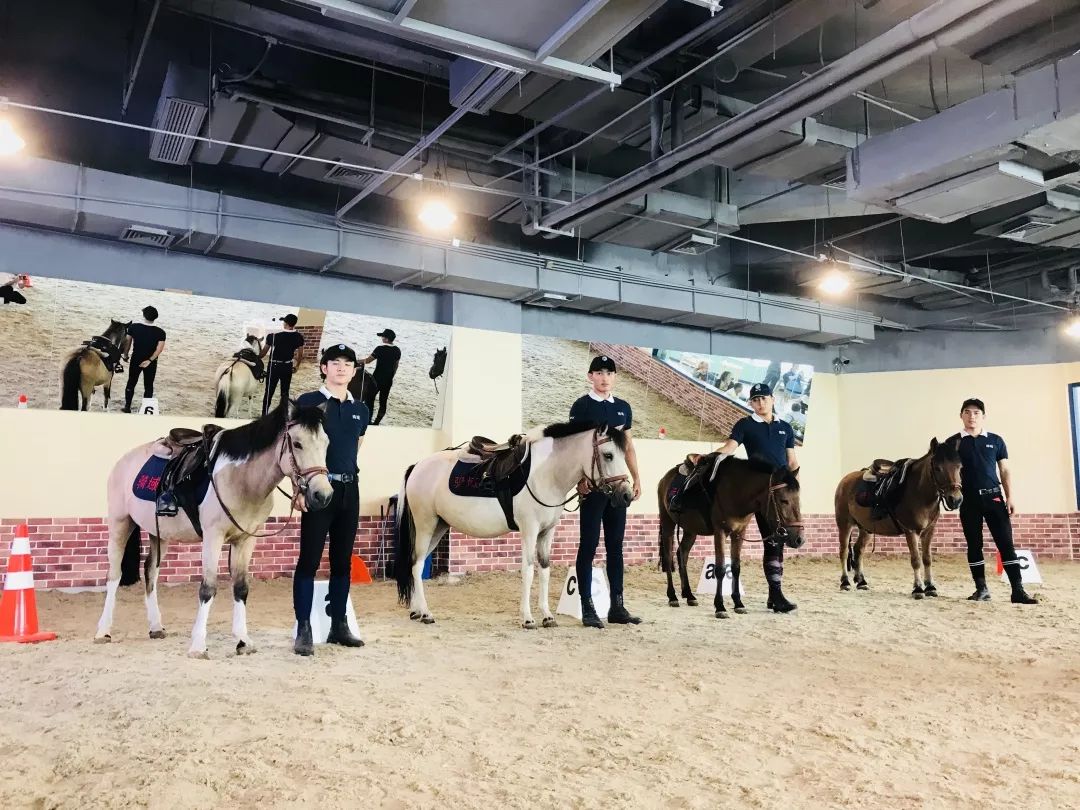 商场惊现真马?这次家长们不淡定了~_马术