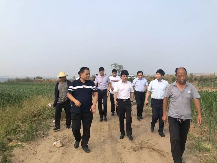 沙河:市长王文玉到新城镇调研指导项目建设工作