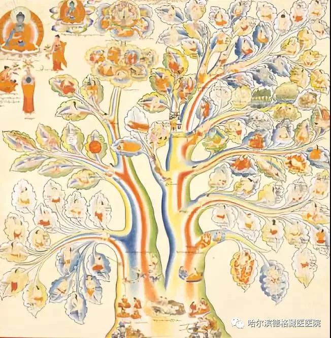 第一棵树 生命的组成和疾病| 内容 |隆,赤巴,培根这三个词在藏医学中