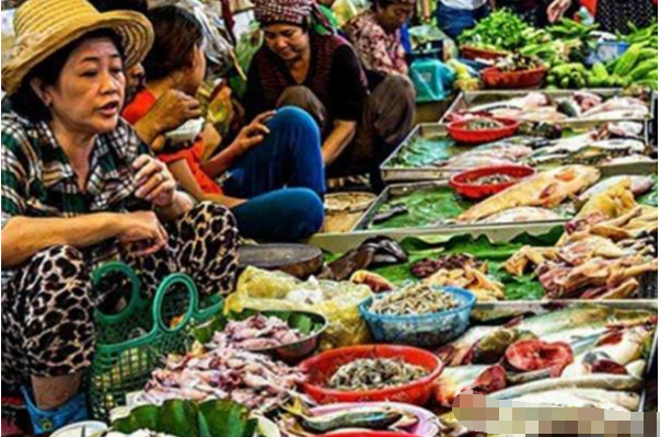 老挝的菜市场,只有想不到没有不敢卖的,网友表示:强悍!