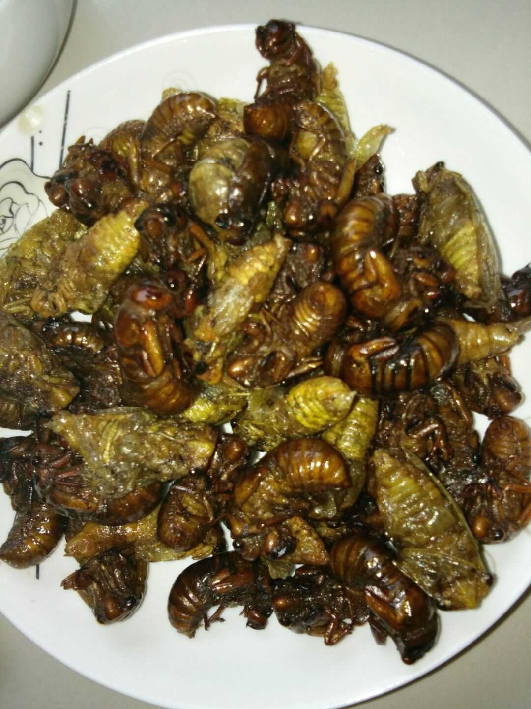 炸金蝉夏天独有的菜很多人不敢吃