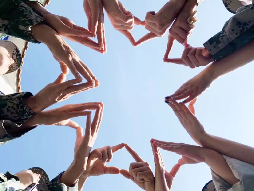 年度《团结奋进 顽强拼搏 凝聚力量 共创卓越》拓展团建活动圆满成功!