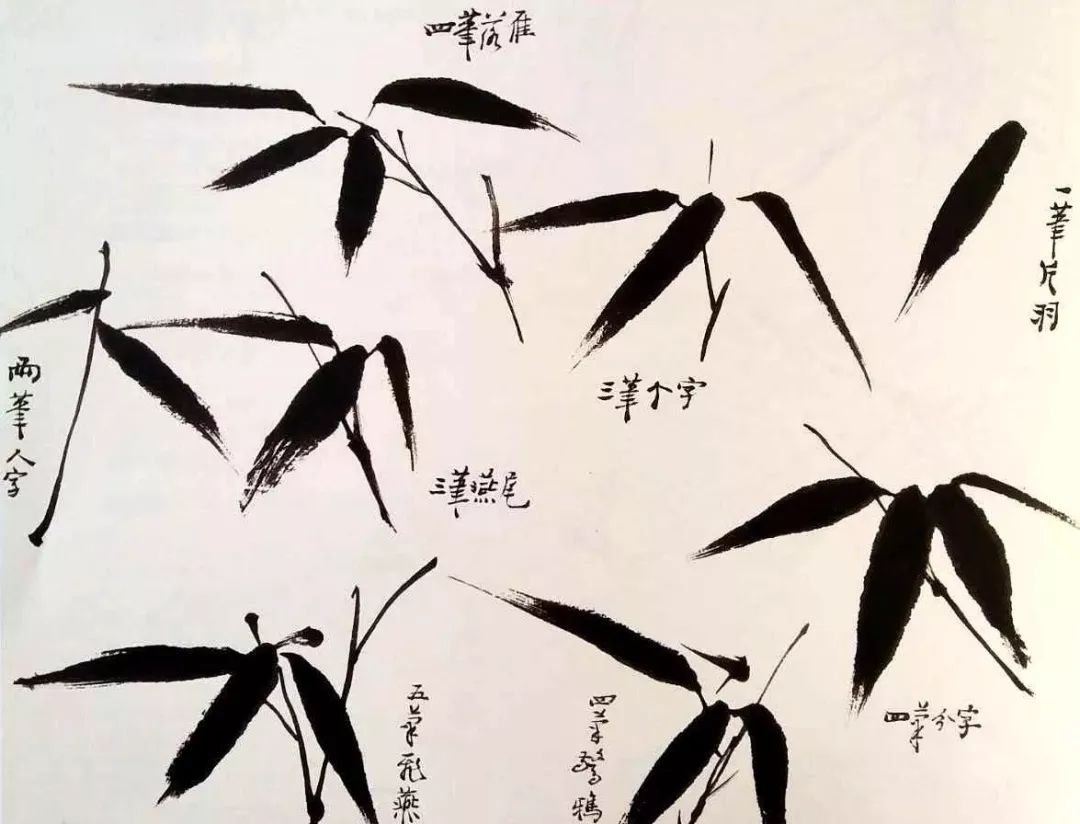 国画知识国画初学者入门整枝竹子的画法