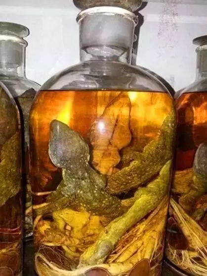 广西男子买国家二级保护动物泡酒还发微信炫耀结果悲剧了