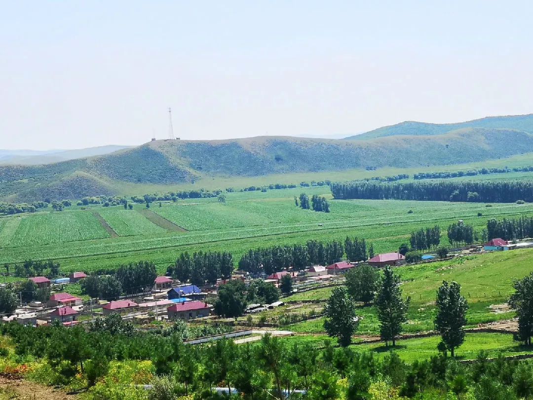 乡村振兴丨扎旗胡尔勒镇森林里种下蒙欧小镇