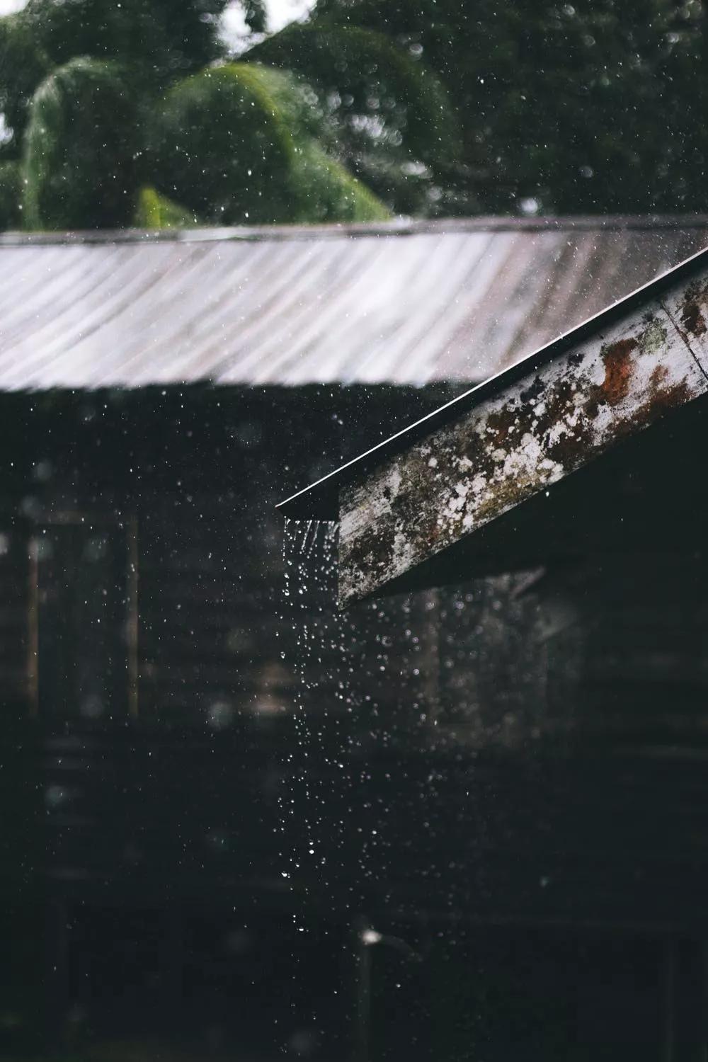 沉默,行走在夏天雨