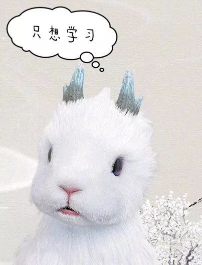 垃圾分类知识盲白泽出招帮你忙