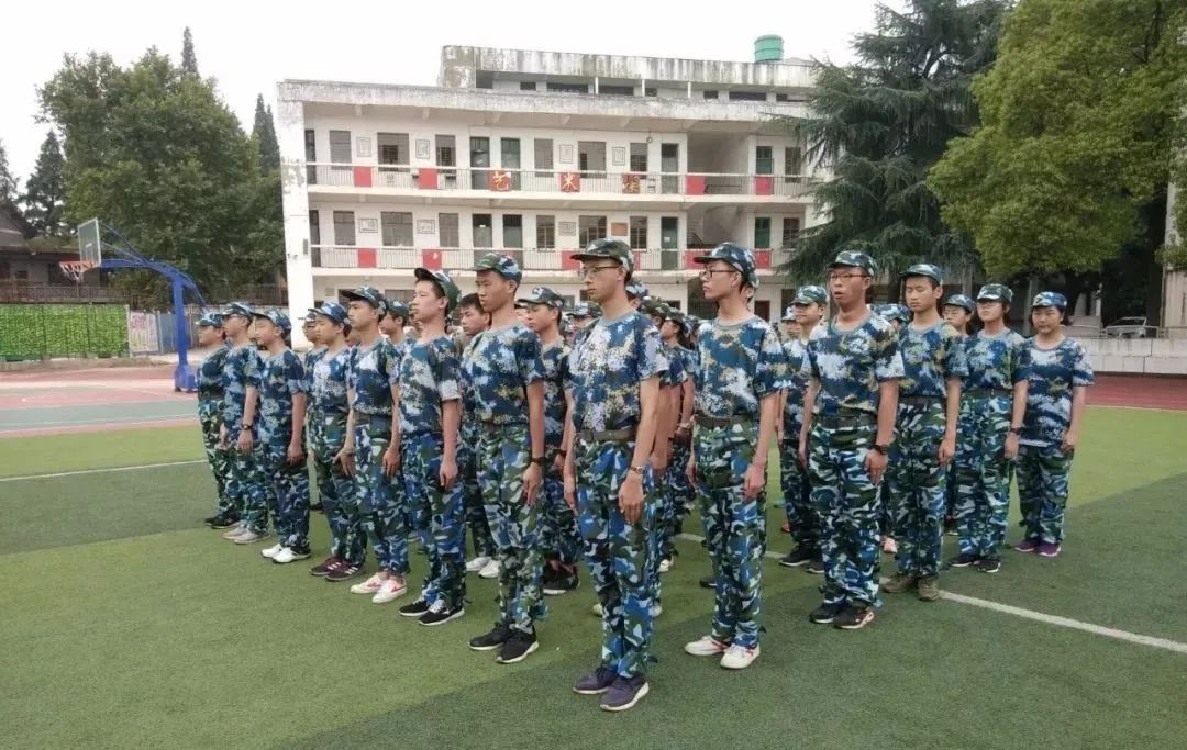 你好八中汗如雨下破壳而生