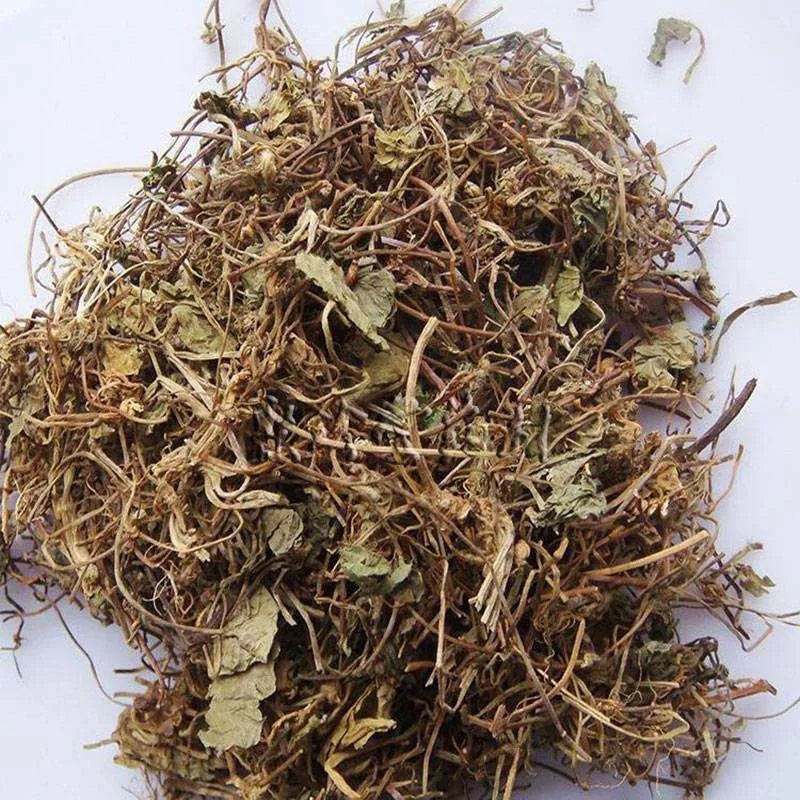 这草药不仅可解蘑菇中毒还可治肝炎尿路感染等