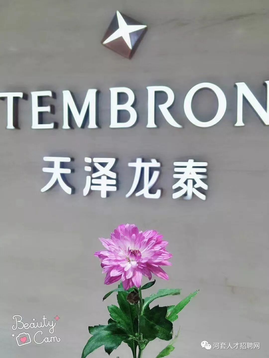 急聘:天泽龙泰公司招聘信息