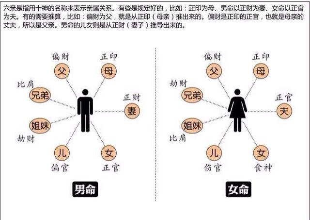 八字讲义六 注明各干支的十神,十二运星