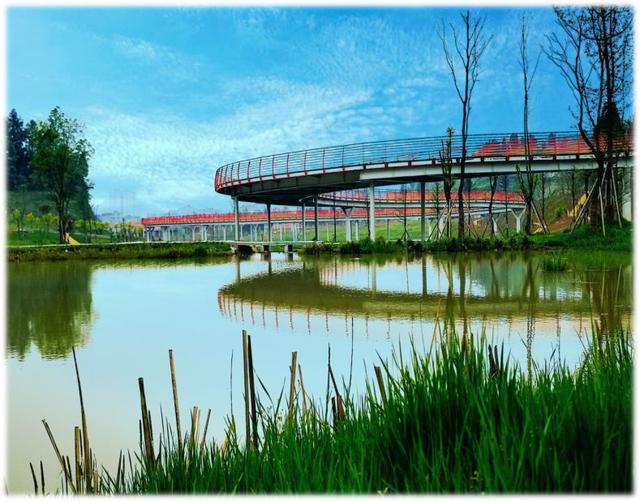 他们联合对东风湖湿地公园出手了