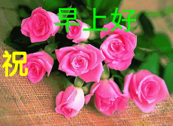 7月20日星期六早上好问候语大全早上温馨问候祝福语句配图大全