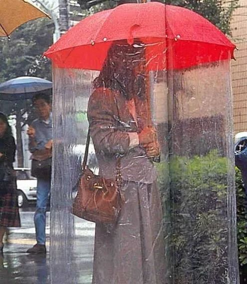 淋雨 落汤鸡图片