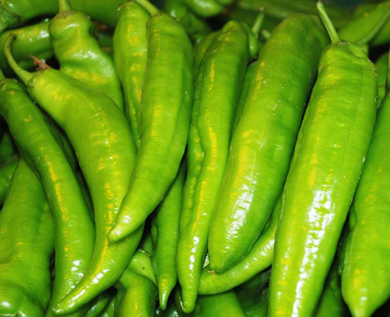 奥运冠椒黄皮尖椒牛角椒大尖椒辣椒种子