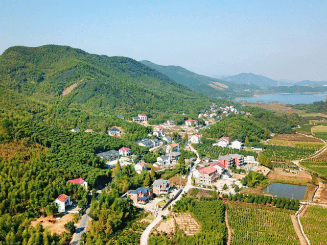 建设美丽大花园埭溪镇全域美丽工作纪实之芳山村