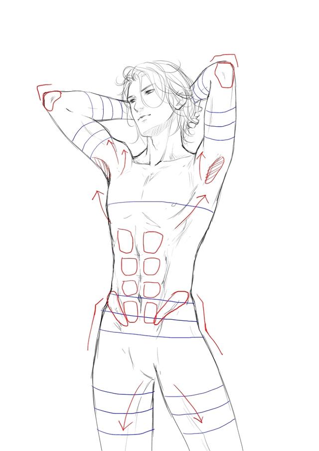 30张人体素材图大放送,看完你也可以画好_绘画