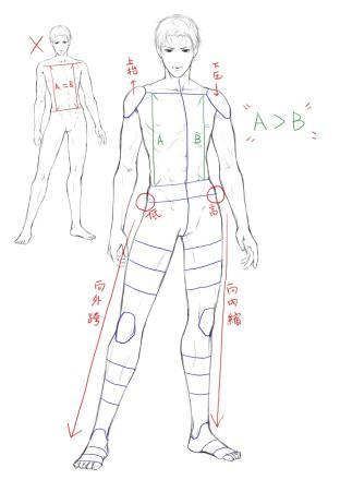 男性人体怎么画?30张人体素材图大放送,看完你也可以画好