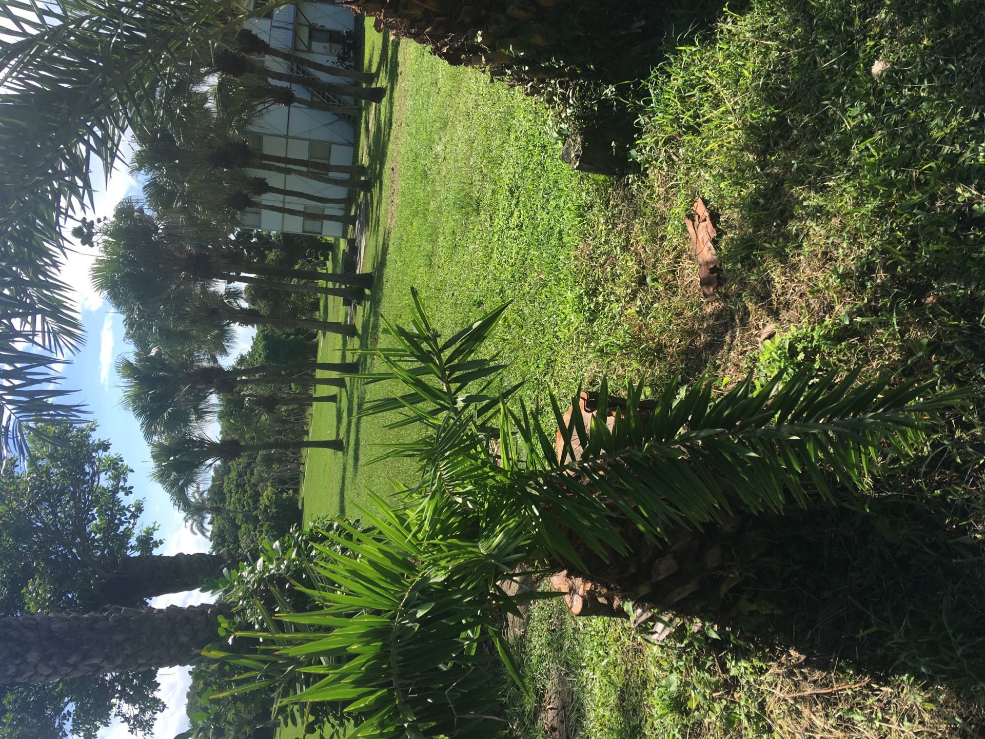 宝岛台湾最南端屏东县恒春镇鹅銮鼻眺望巴士海峡