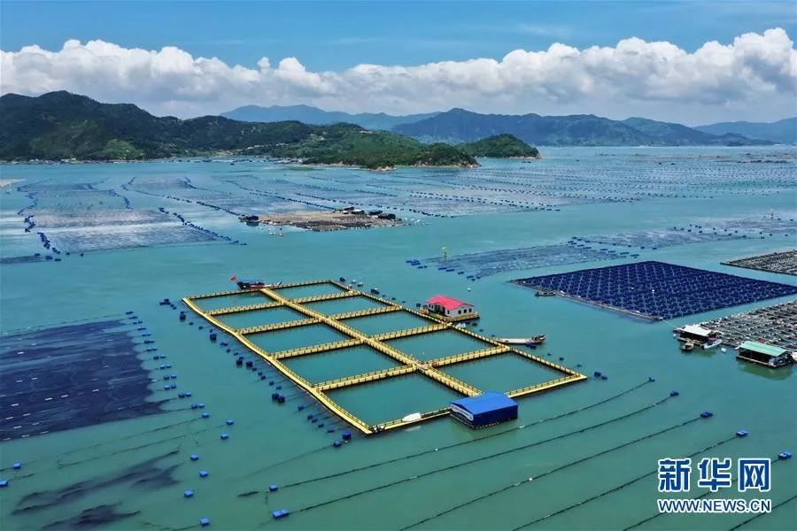 2018年7月下旬以来,福建省宁德市霞浦县全力推进海上养殖综合整治