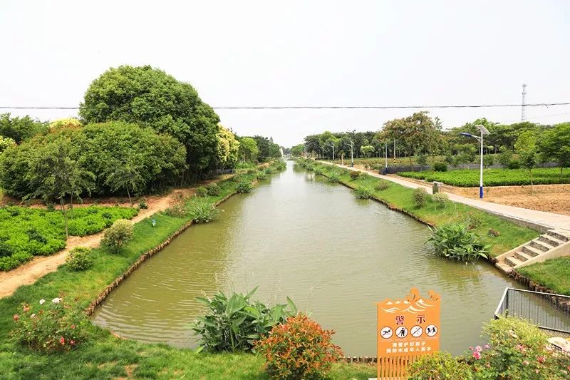 最美河道丨湟里镇这一片梦里水乡,邀您共赏