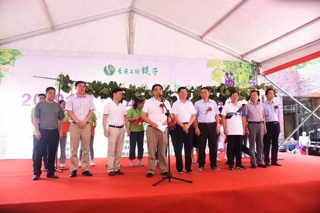 品香提,赏美景!庐江台创园提子采摘节来了,赶紧约起来