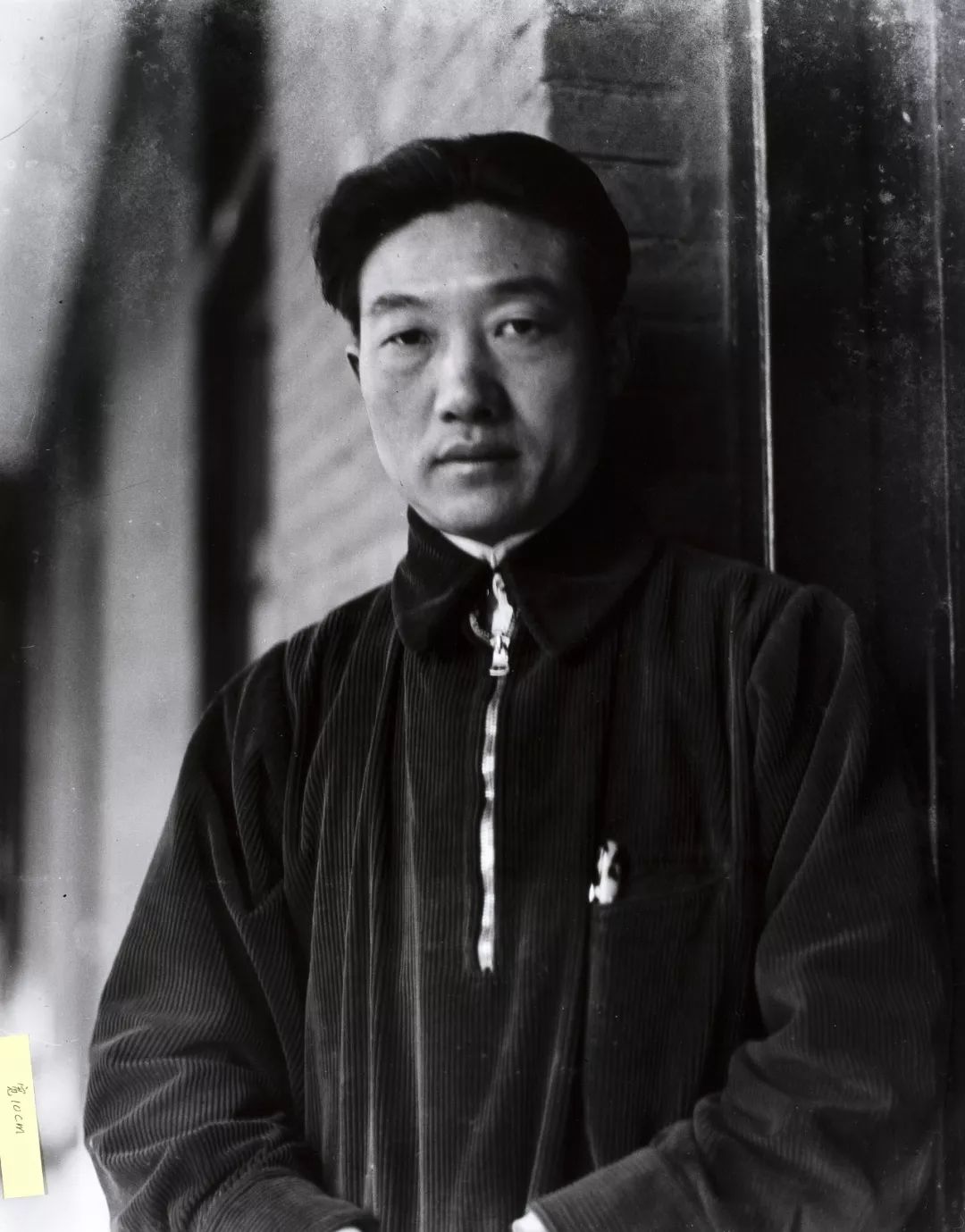 因为你,我爱上了马_徐悲鸿