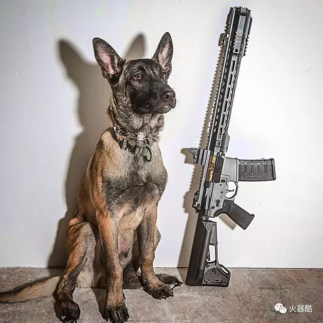 sai(salient arms internation)