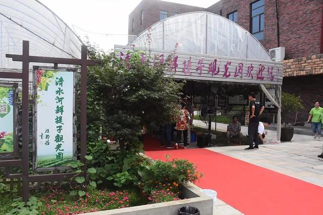 品香提,赏美景!庐江台创园提子采摘节来了,赶紧约起来