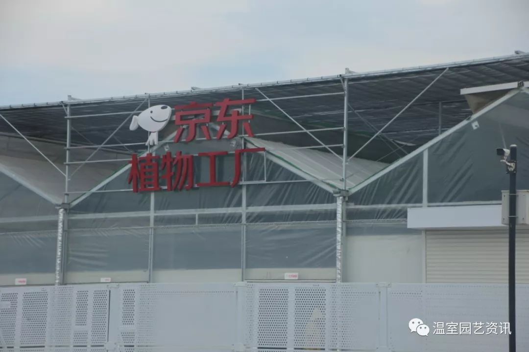 探秘京东植物工厂产销一体化破解农产品销售难题