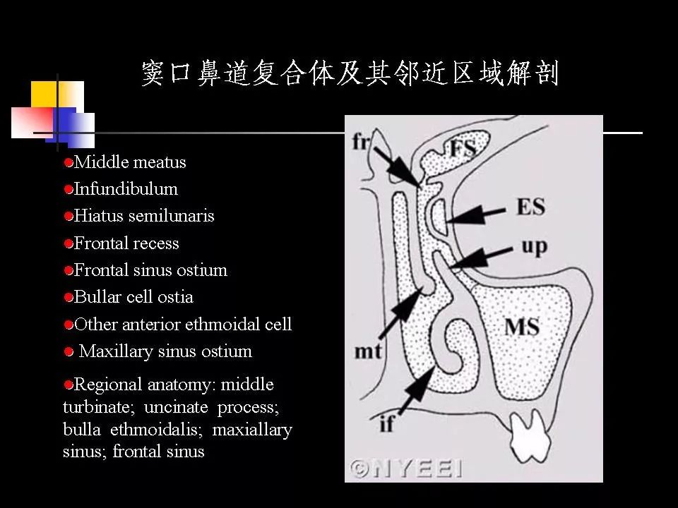 鼻腔鼻竇的ct解剖及該區域常見疾病的影像學診斷影像天地