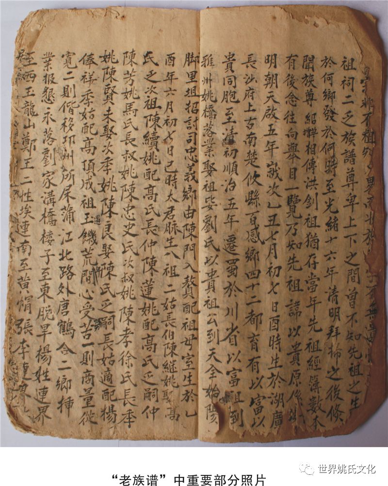 四川蒲江‖传承姚氏文化 开展宗亲活动_姓氏
