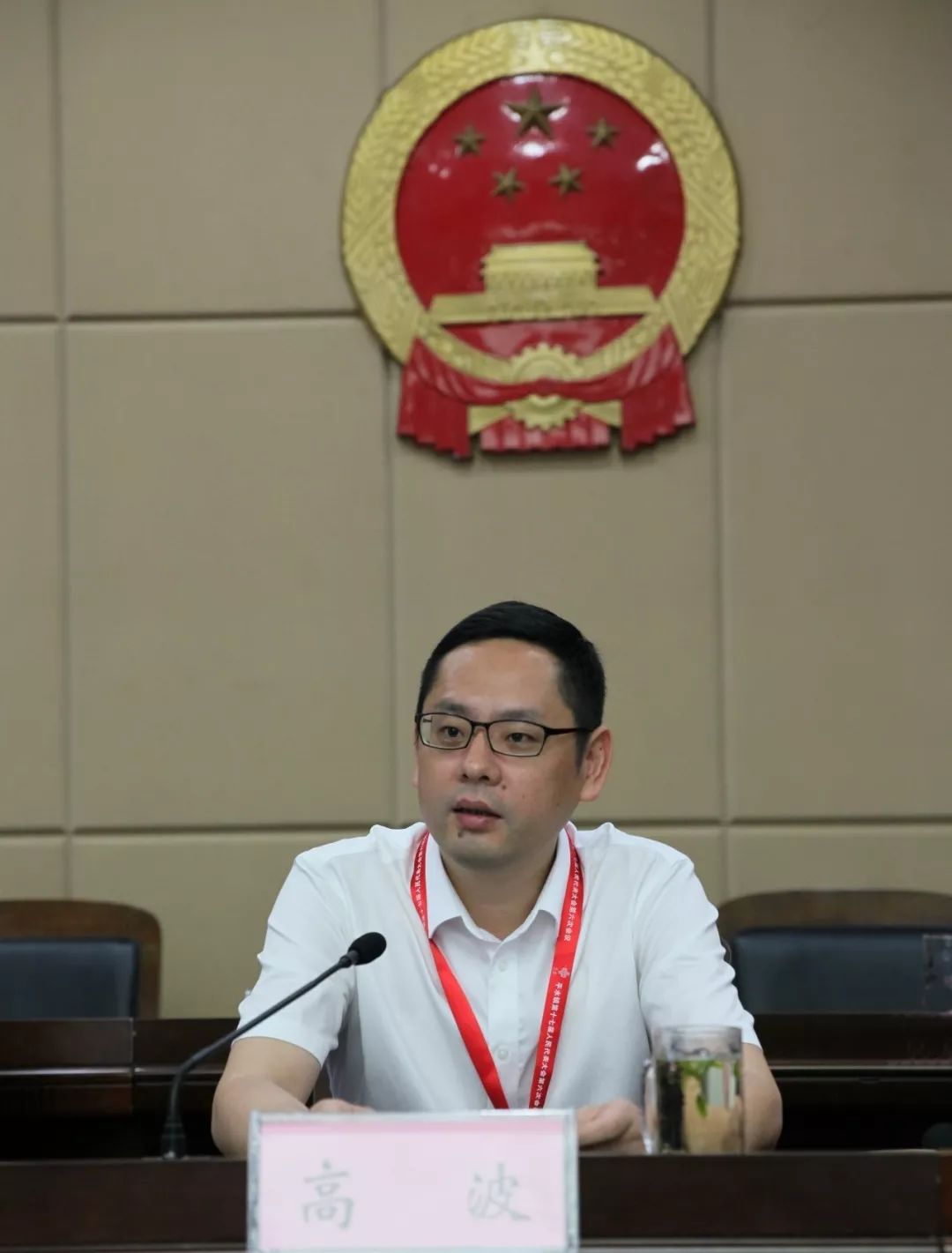 奋勇担当彩色振兴平水镇第十七届人民代表大会第六次会议顺利召开