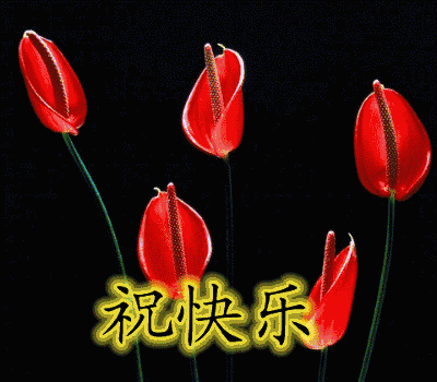 400_350gif 动态图 动图