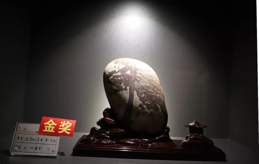 毕节这块石头得了"金奖",标价66万!到底长啥样?_奇石