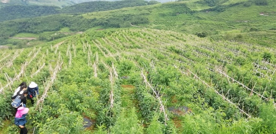 脱贫攻坚在黄泥