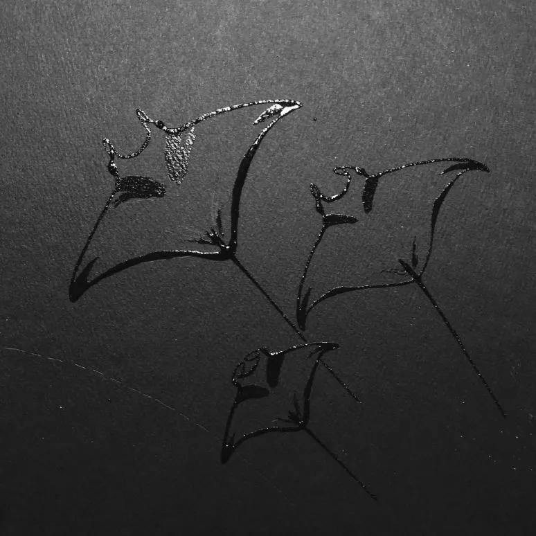 画画种类有很多奇特的盐水画你知道吗