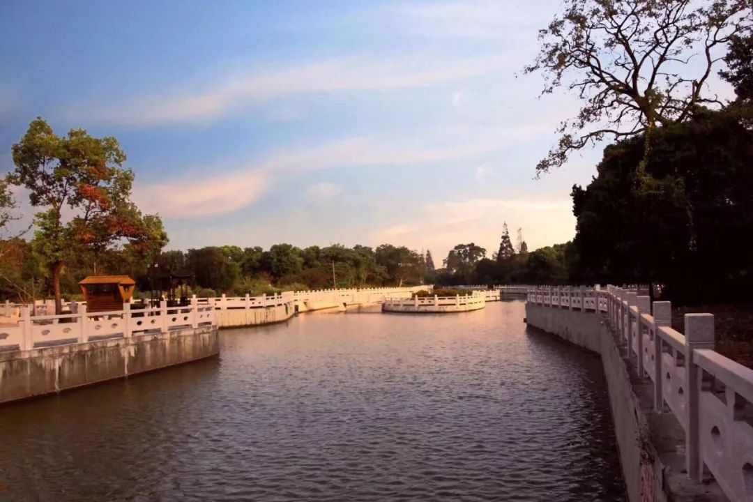 最美河道丨湟里镇这一片梦里水乡,邀您共赏