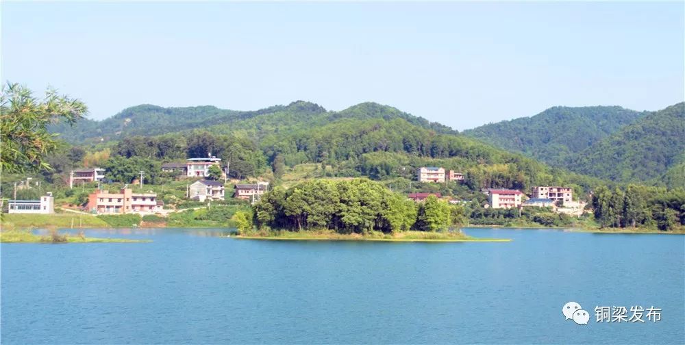 而在围龙镇桥亭水库后的巴岳山上,几千亩长江防护林拥绿迭翠遮天蔽日