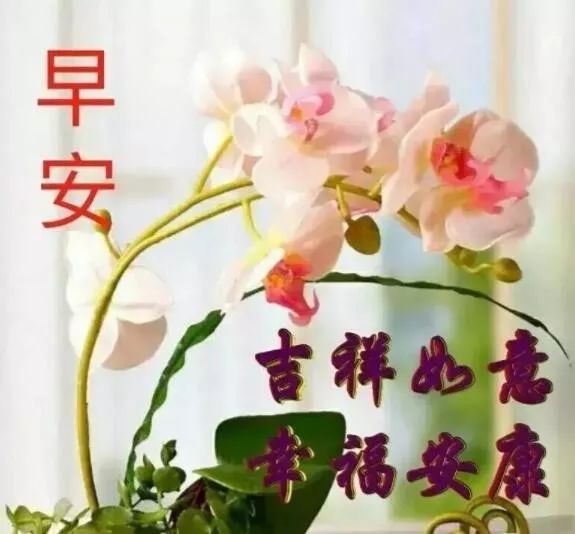 七月二十日最漂亮早上好图片大全动态表情群里大家早上好的图片祝福语