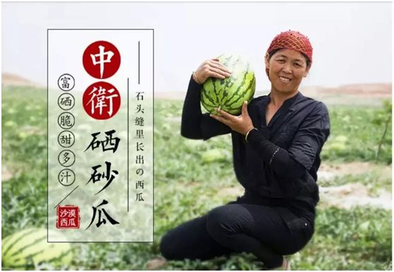 【银座·奥莱】奔走相告,石头缝里蹦出的宁夏硒砂瓜来了!_西瓜