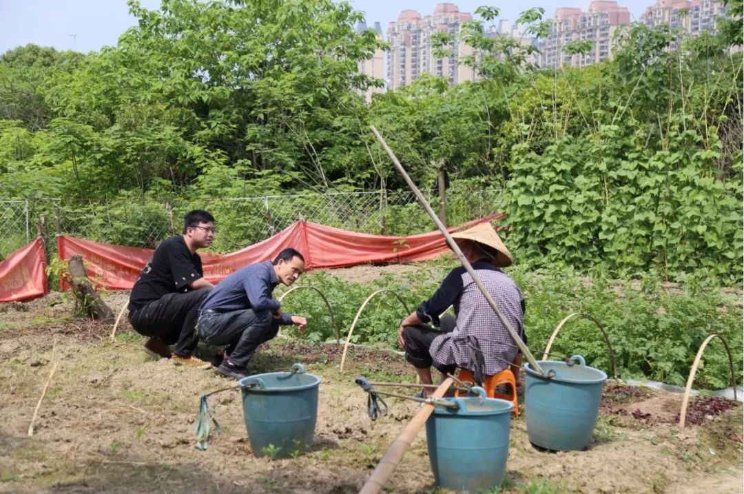 信安湖活力岛未来已来历时4年西区严家圩村征迁扫尾工作全面完成