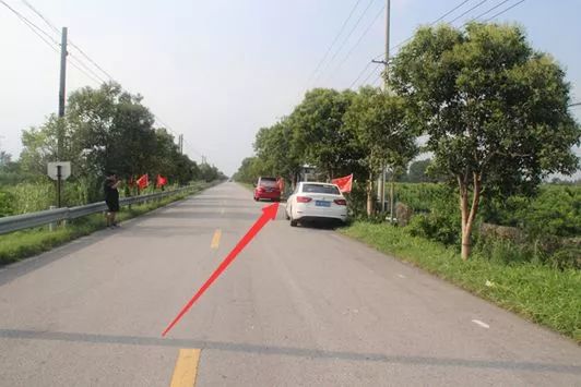 自驾去仇湖白龙寺,然后往北开800米,路边插着旗子的地方停下.