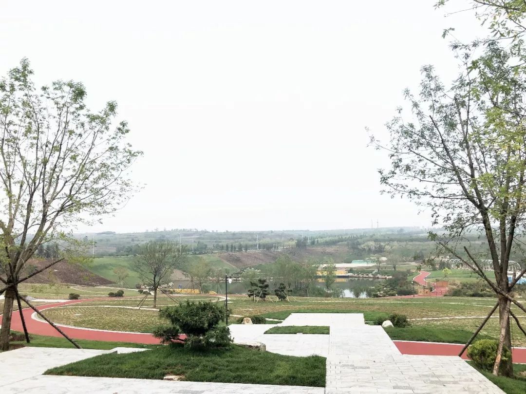 花灌木等绿化植被8000多株十里河绿轴是今年荣成市精致城市