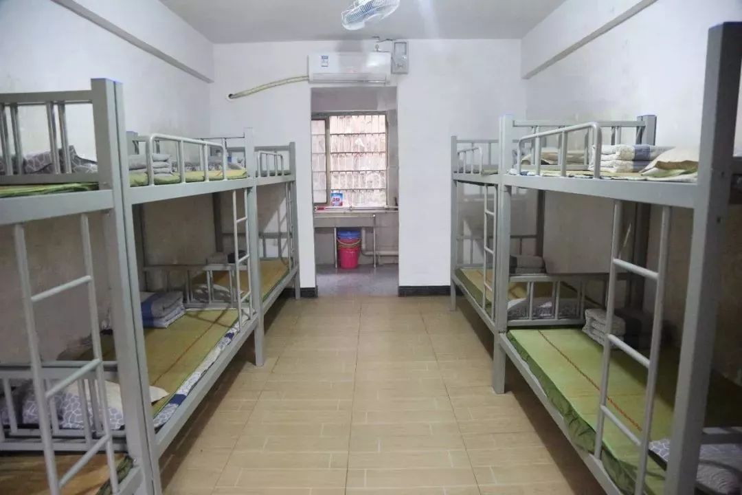 新化特长生高考再创佳绩东方南北文武学校不负众望再次蝉联湖南省普高